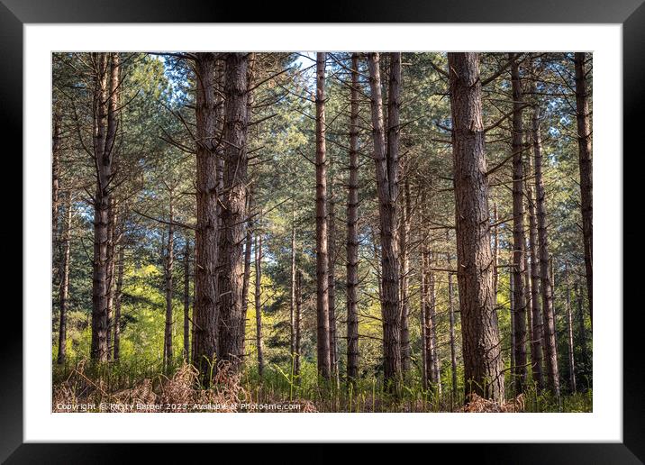 Tress in Dunwich Forest  Framed Mounted Print by Kirsty Barber