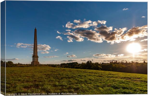 Umberslade Obelisk Canvas Print by David Macdiarmid