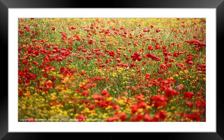 wild flower meadow Framed Mounted Print by Simon Johnson