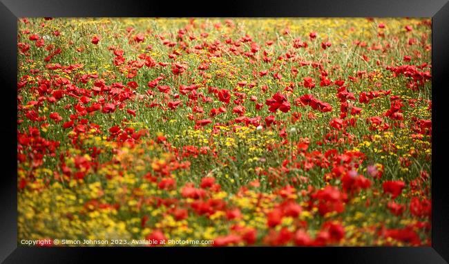 wild flower meadow Framed Print by Simon Johnson