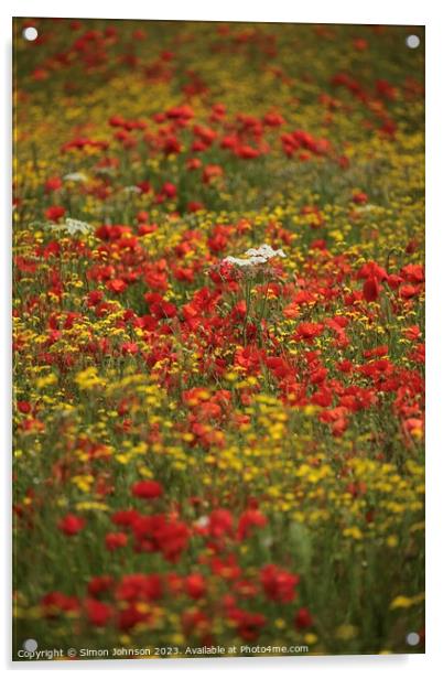 wild flower meadow Acrylic by Simon Johnson