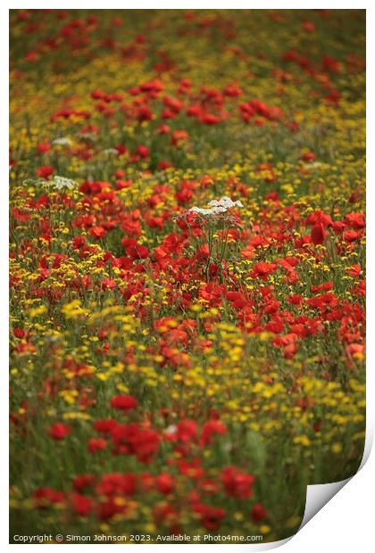 wild flower meadow Print by Simon Johnson