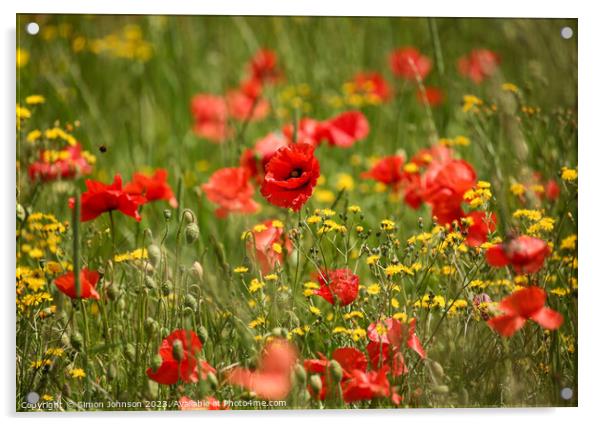 Outdoor field Acrylic by Simon Johnson