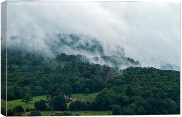 Mist over Kinnoull Hill Canvas Print by Navin Mistry