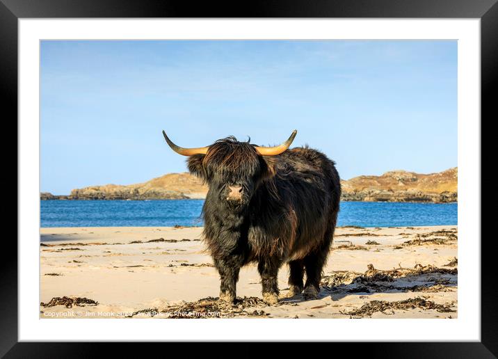 Bosta Beach Cow, Isle of Lewis Framed Mounted Print by Jim Monk
