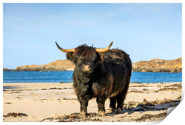 Bosta Beach Cow, Isle of Lewis Print by Jim Monk