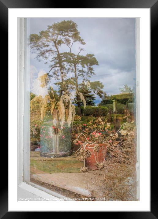 Vintage Flora Reflections Framed Mounted Print by Stephen Young