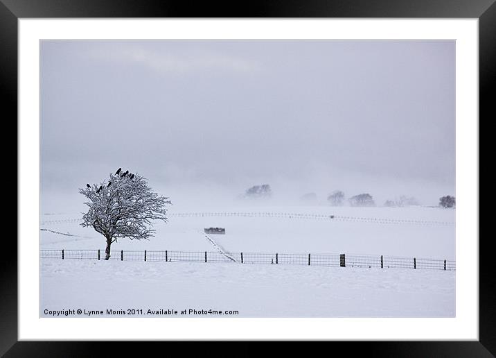 A Cold And Frosty Morn Framed Mounted Print by Lynne Morris (Lswpp)