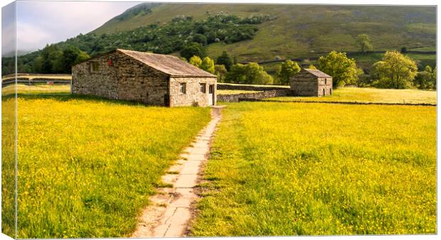 Muker Buttercup Meadows, Upper Swaledale Canvas Print by Tim Hill