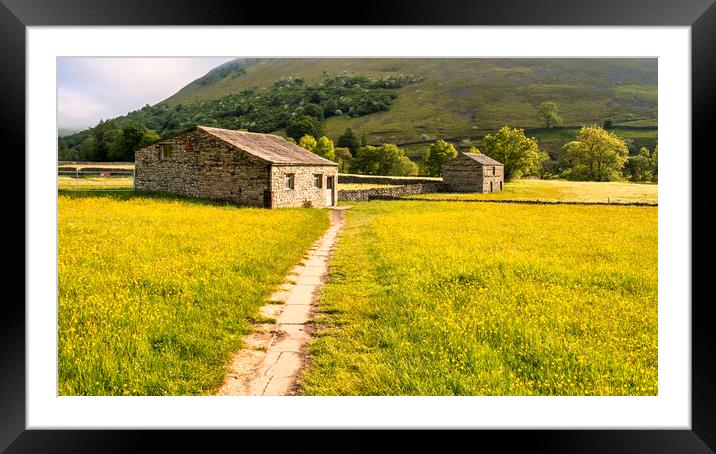 Muker Buttercup Meadows, Upper Swaledale Framed Mounted Print by Tim Hill