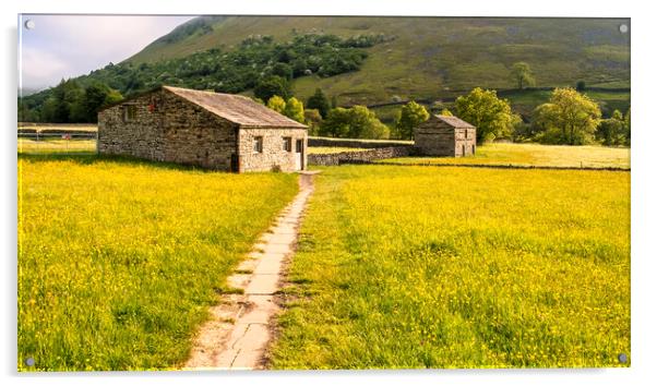 Muker Buttercup Meadows, Upper Swaledale Acrylic by Tim Hill