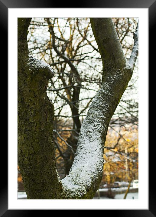 Snow on the Branch Line Framed Mounted Print by Peter Elliott 