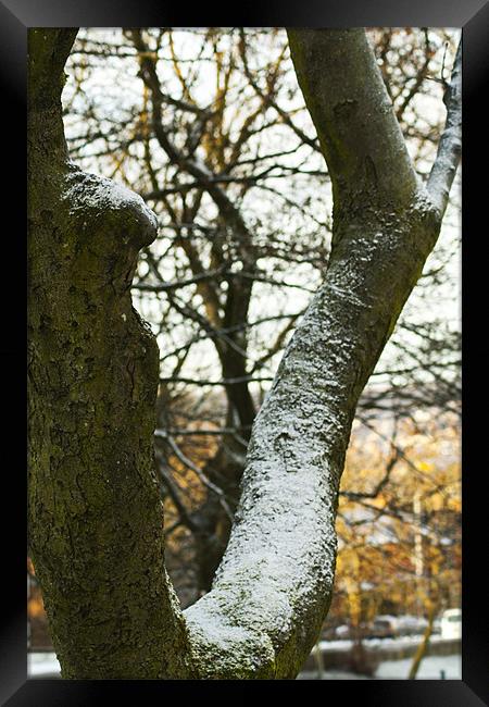 Snow on the Branch Line Framed Print by Peter Elliott 