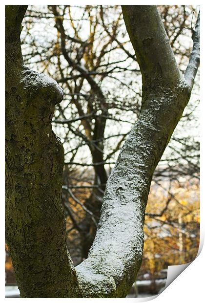 Snow on the Branch Line Print by Peter Elliott 