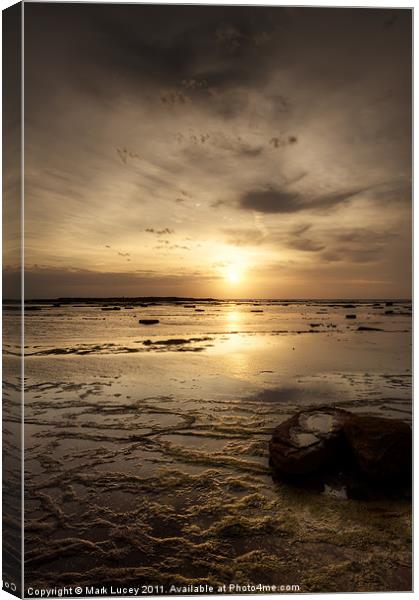 Sun on the Reef Canvas Print by Mark Lucey