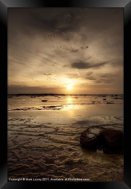 Sun on the Reef Framed Print by Mark Lucey