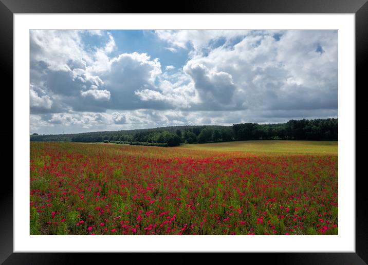 Poppy Field Sun Rays Framed Mounted Print by Apollo Aerial Photography