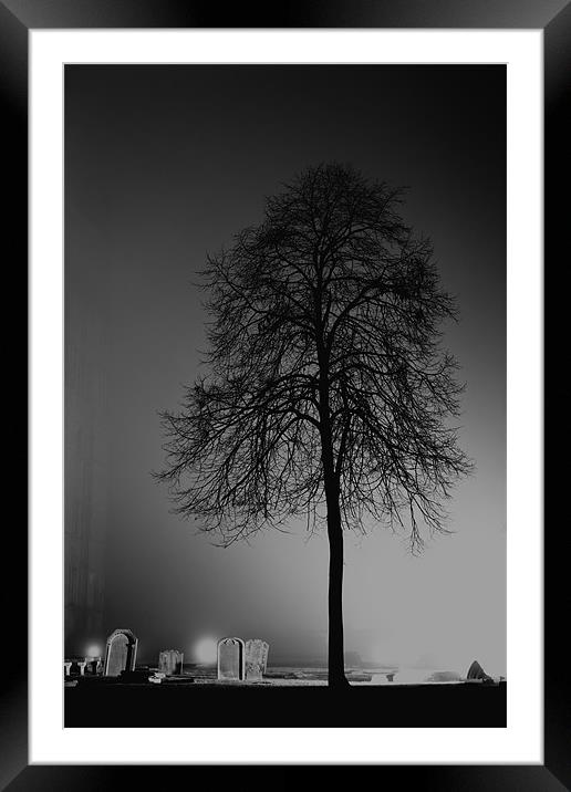 tree silhouette Framed Mounted Print by Northeast Images