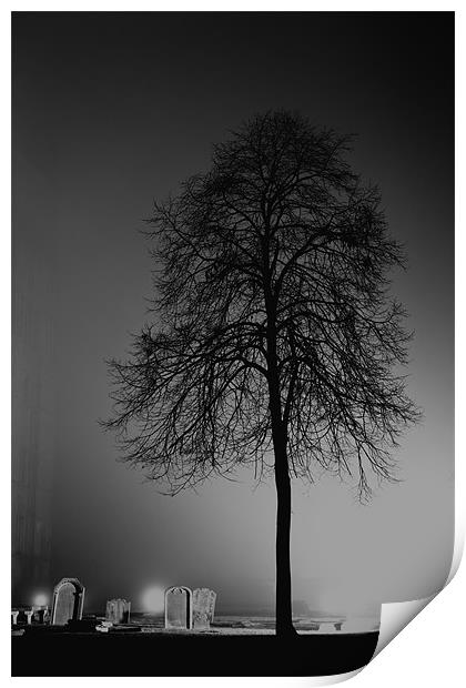 tree silhouette Print by Northeast Images