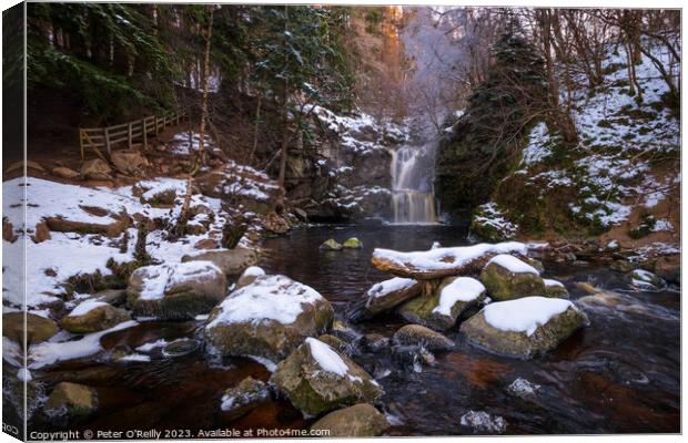 Winter at Linn Falls Canvas Print by Peter O'Reilly