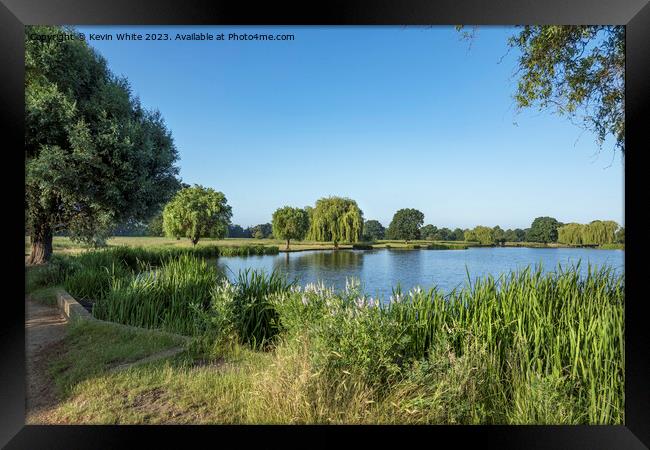 Clear blue skies at Bushy Park Surrey Framed Print by Kevin White