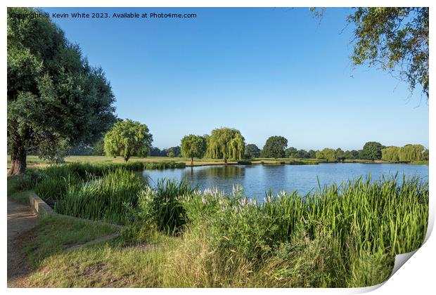 Clear blue skies at Bushy Park Surrey Print by Kevin White
