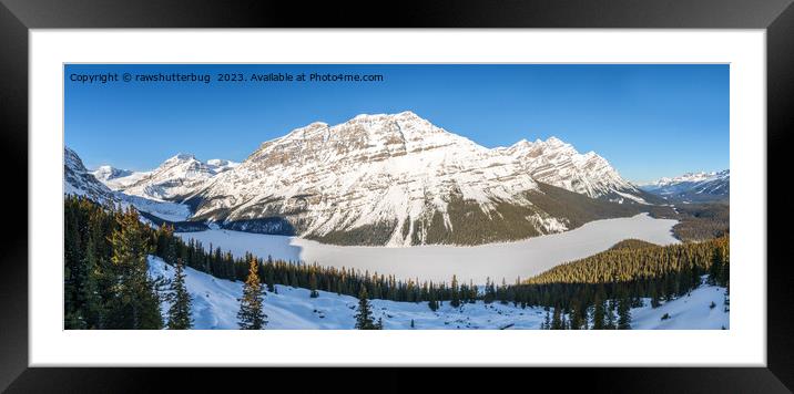 Winter Wonderland Serenity - Peyto Lake Panorama Framed Mounted Print by rawshutterbug 