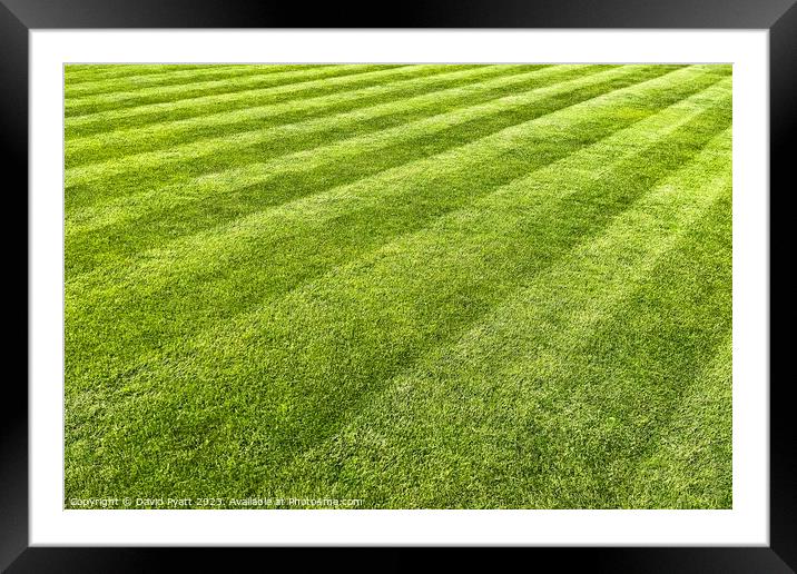 Striped Lawn Abstract Framed Mounted Print by David Pyatt
