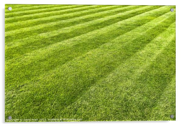 Striped Lawn Abstract Acrylic by David Pyatt