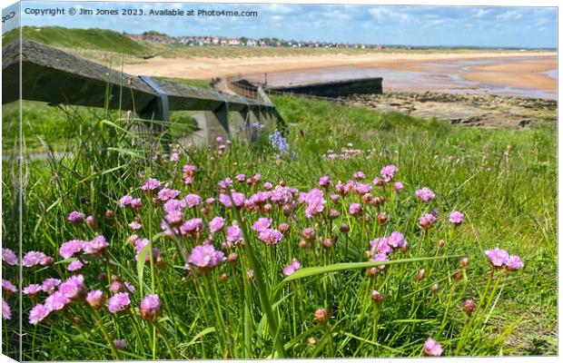 Wild Sea Thrift on the path to the beach Canvas Print by Jim Jones