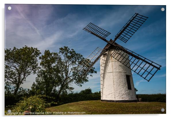 Ashton Windmill, Somerset Acrylic by David Macdiarmid