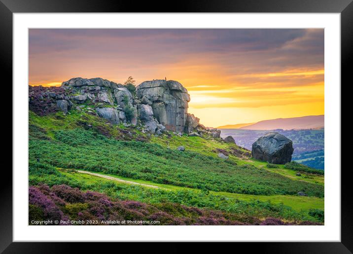 Ilkley Cow and Calf Sunset Framed Mounted Print by Paul Grubb