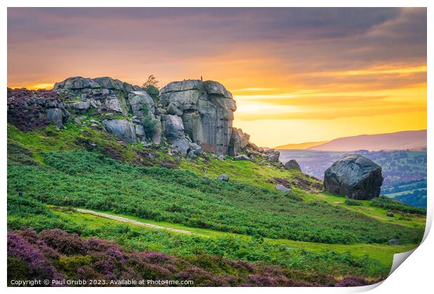 Ilkley Cow and Calf Sunset Print by Paul Grubb