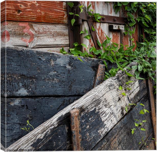 Standard Quay, Faversham Canvas Print by Tom Lloyd