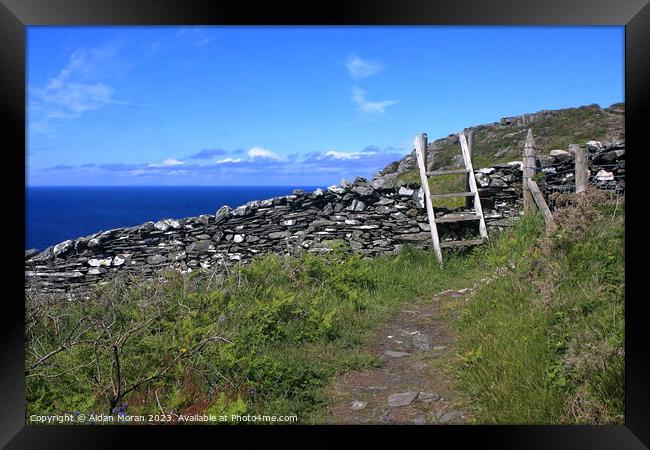 Costal Pathway on the Isle of Man Framed Print by Aidan Moran