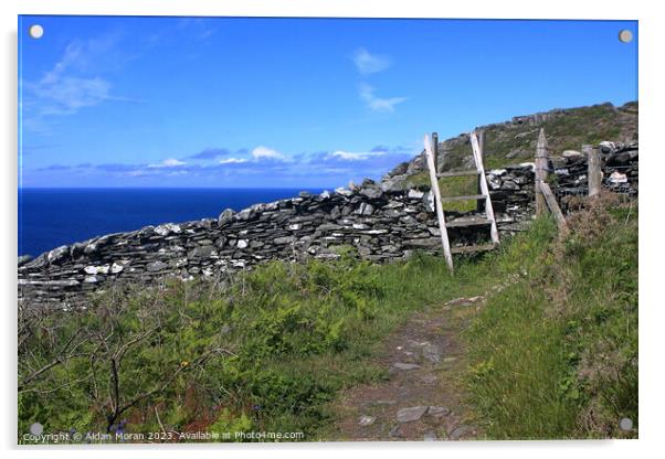 Costal Pathway on the Isle of Man Acrylic by Aidan Moran