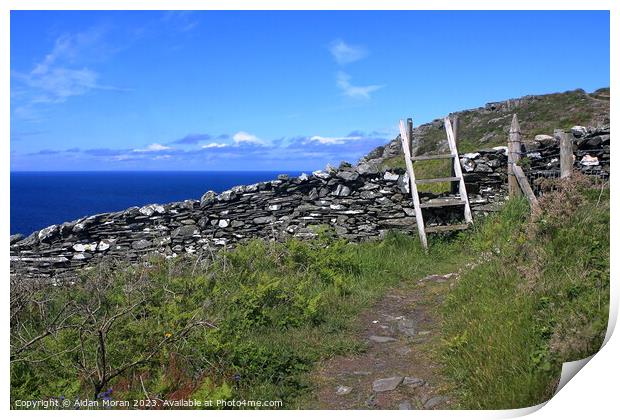 Costal Pathway on the Isle of Man Print by Aidan Moran