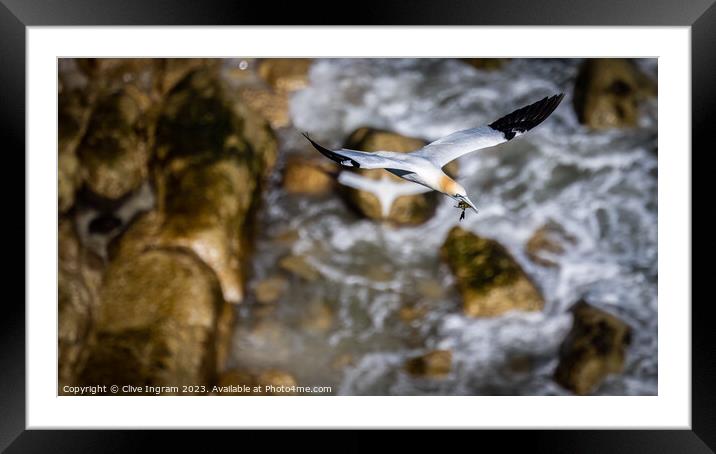 Grace in Motion Framed Mounted Print by Clive Ingram