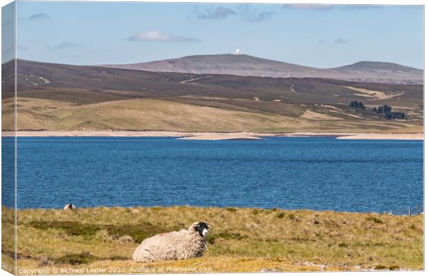 Cow Green Reservoir and Great Dun Fell (2) Canvas Print by Richard Laidler