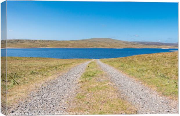 Meldon Hill and Cow Green Reservoir Canvas Print by Richard Laidler
