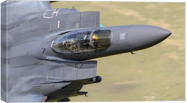 F15- Strike Eagle....the business end Canvas Print by Rory Trappe