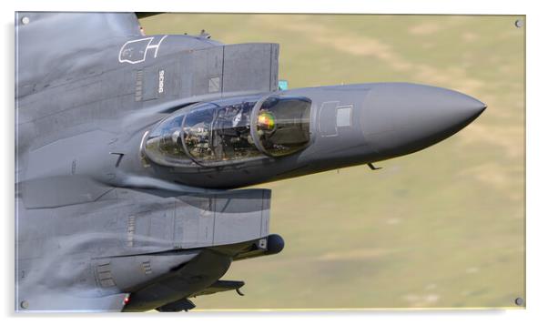 F15- Strike Eagle....the business end Acrylic by Rory Trappe