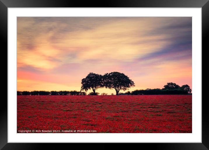 Two Tree Poppy Field Framed Mounted Print by Rick Bowden