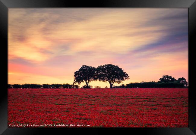 Two Tree Poppy Field Framed Print by Rick Bowden