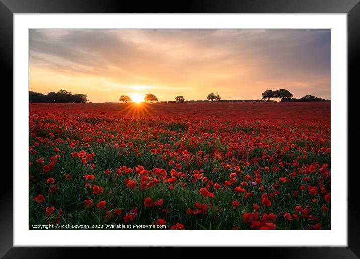 Radiant Poppy Field Framed Mounted Print by Rick Bowden