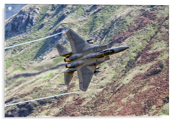 USAF F15 Eagle Acrylic by J Biggadike