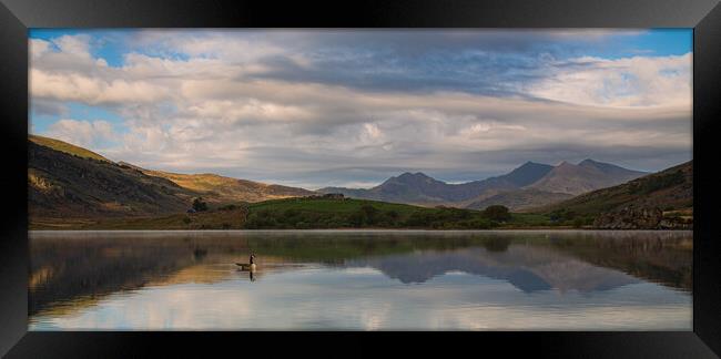 A calm spring morning in Snowdonia Framed Print by Rory Trappe
