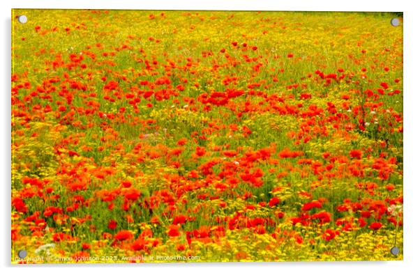 Outdoor field Acrylic by Simon Johnson