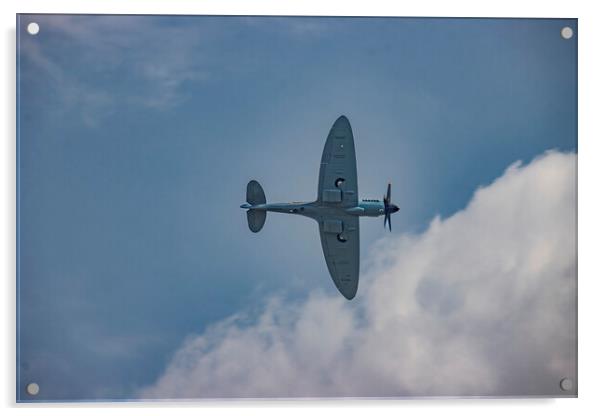 The Majestic Spitfire 02 Acrylic by Glen Allen