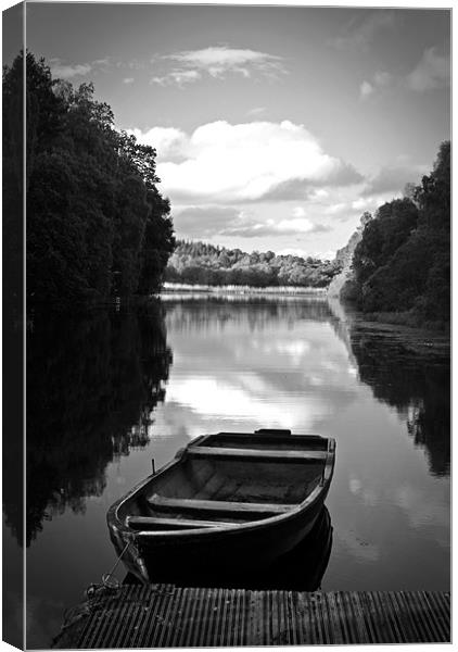 Loch View Canvas Print by Matt Youngs